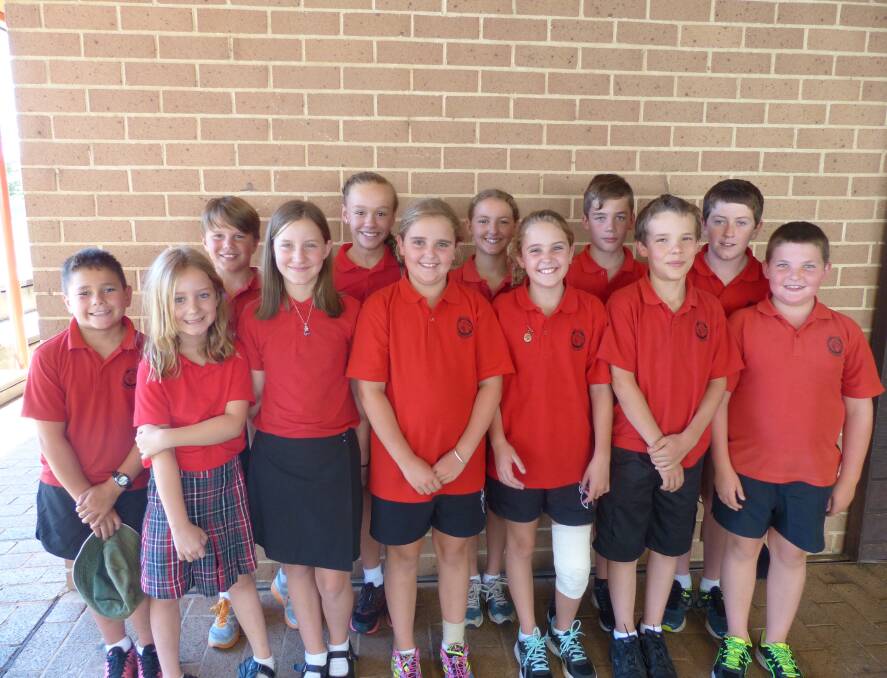 IN THE SWIM: There were plenty of strong performances at Oberon Public School's annual swimming carnival.