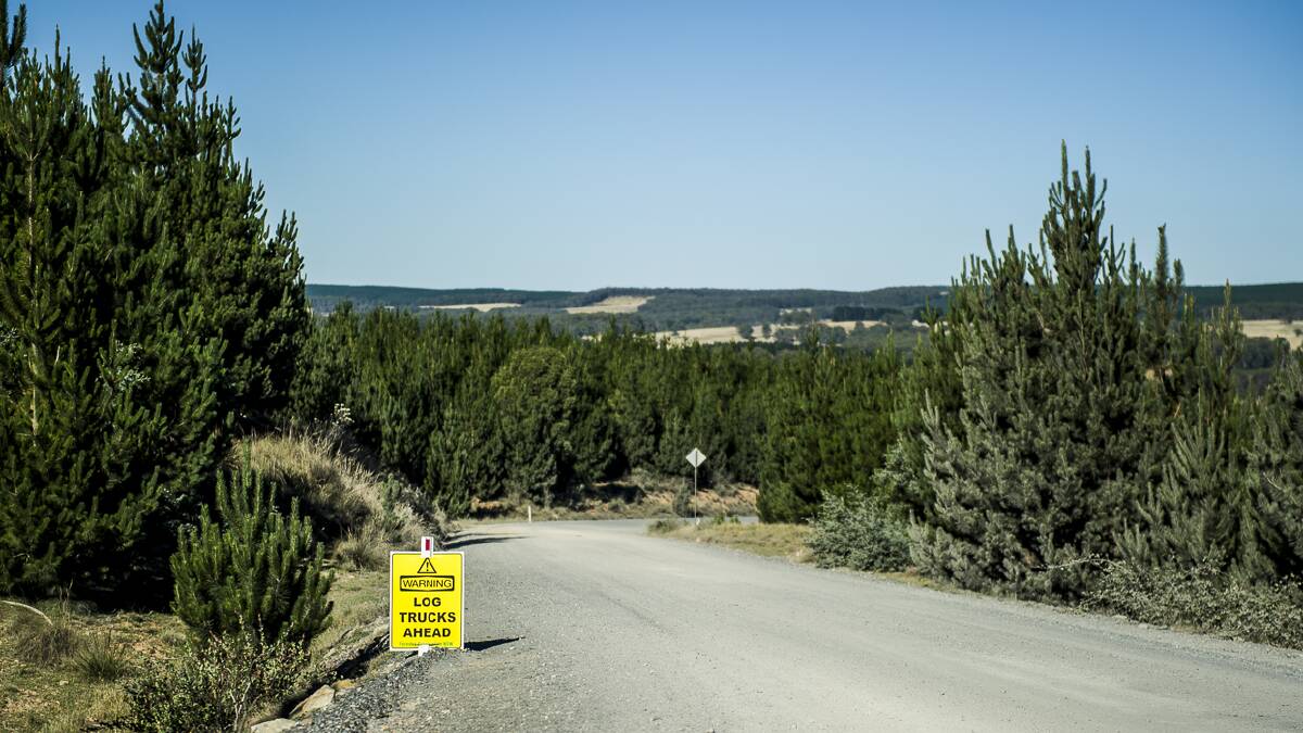 CHALLENGES: The Oberon Council area includes a number of unsealed rural roads and much of it is not rateable as it is national park or state forest.