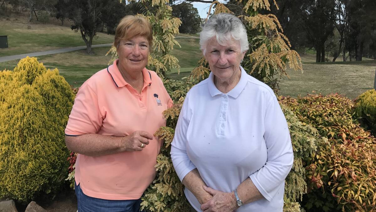 TOO GOOD: Wilma Artery prevailed over Yvonne Collins in women's golf recently.