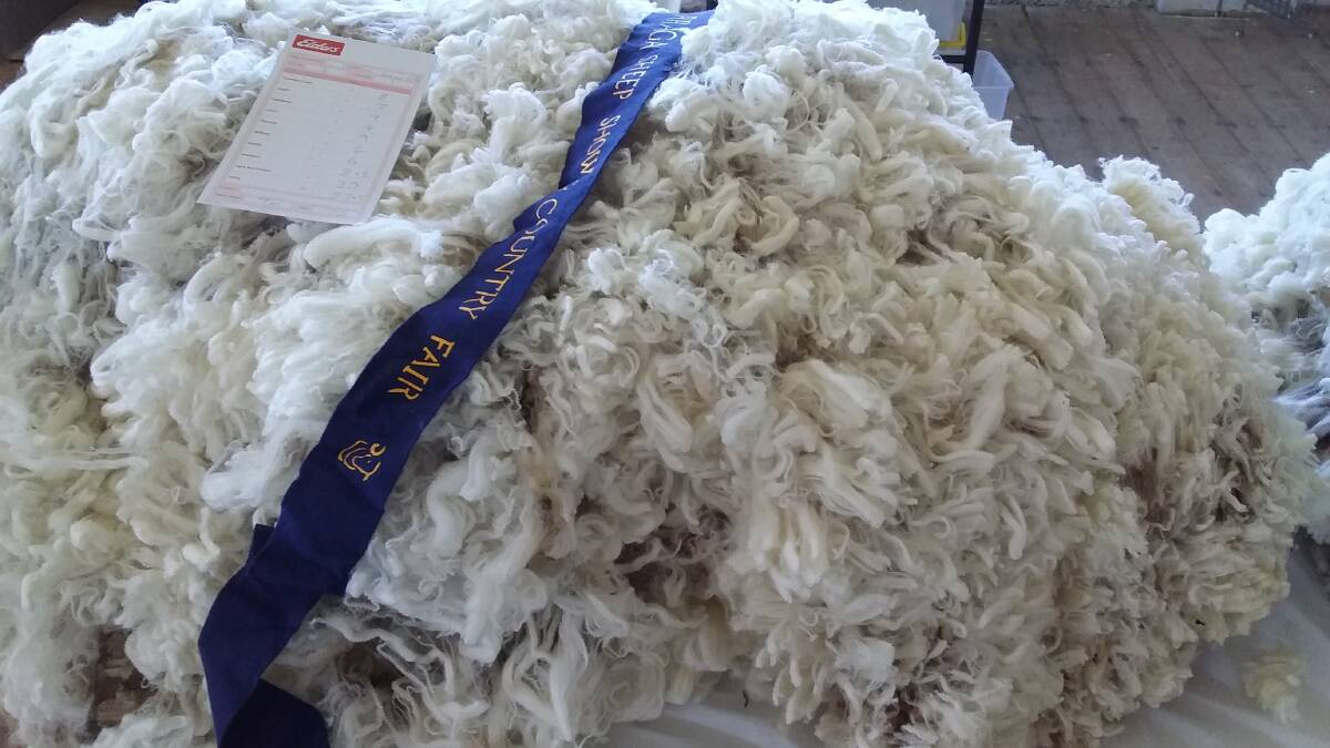 AND THE WINNER IS: Ken Stapleton showed this winning fleece at the Burraga Sheep Show which was held last weekend.