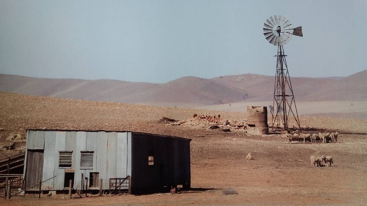 STRUGGLE: The crutching shed and a drought scene near Ulooloo, South Australia in recent weeks.