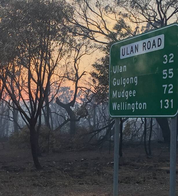 SIGN OF DESPAIR: A stark sight after fire raced past this road sign. We must all take care during the current dry conditions.