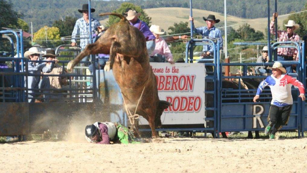 PLENTY OF ACTION: The 2017 Oberon Rodeo will be held at the Oberon Showground on Saturday, February 25. Fun and action for the whole family is being promised.