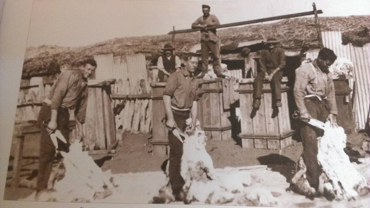 FLASHBACK: Blade shearers pose for the camera when shearing in the open at a pioneer’s shed near Burra [SA] in 1890.