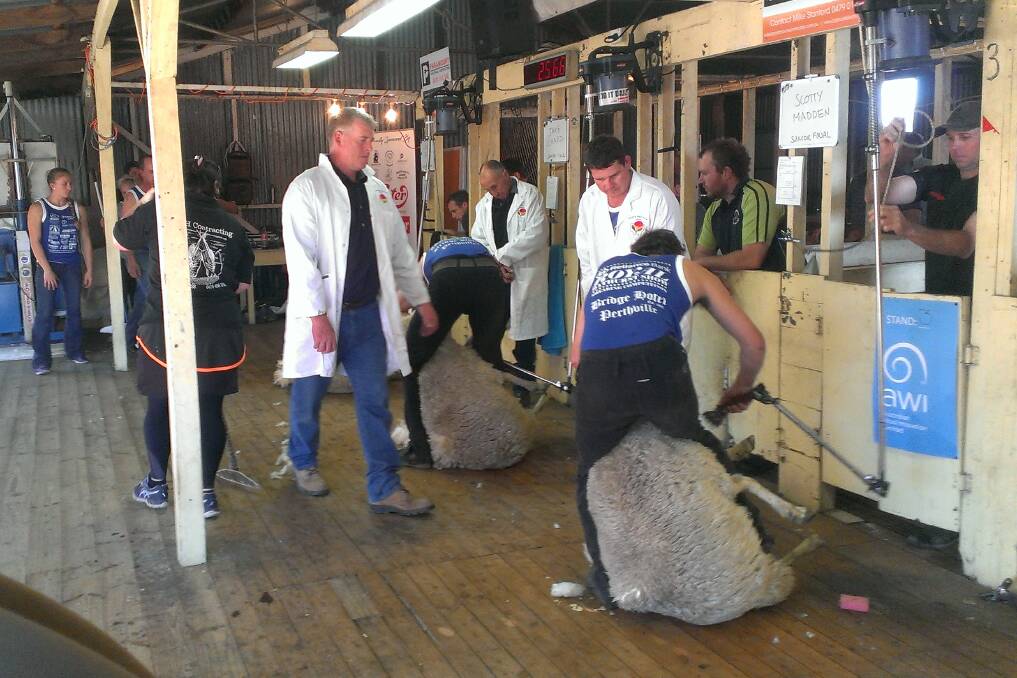 IN THE SHED: The shearing events at the Royal Bathurst Show were hotly contested and very well organised. Crowds of spectators were a highlight.