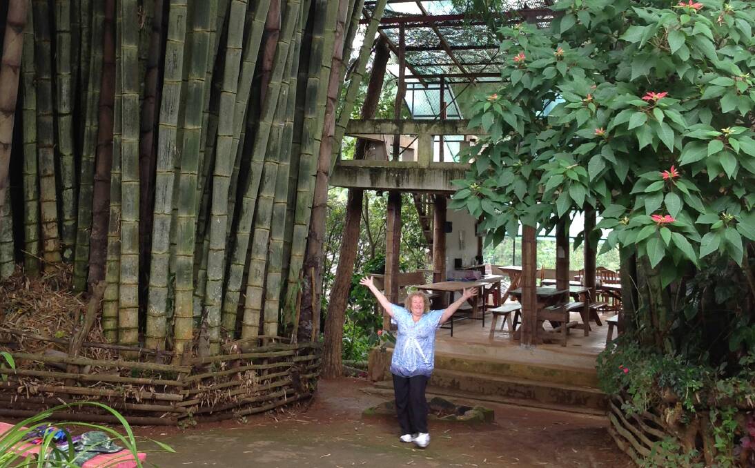 TOWERING: Kay among the bamboo in the Shan hill tribe village. The bamboo is so high and thick in some parts that it bends over the road in an arch.