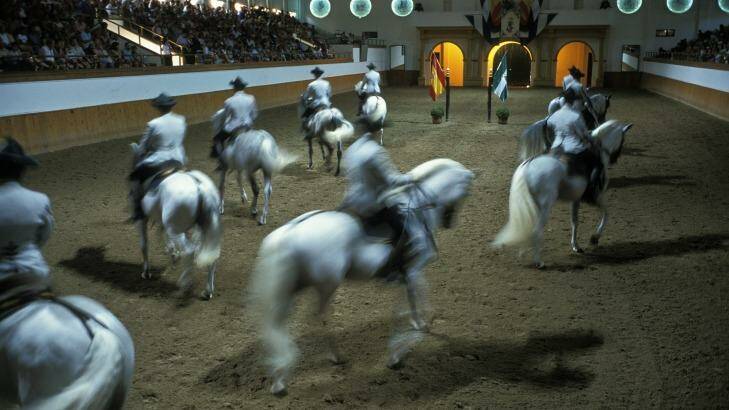 Royal Andalusian School of Equestrian Art: Exquisite shows at Jerez de la Frontera. Photo: JMN