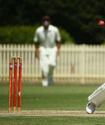 Back in the middle: Michael Clarke bats for Western Suburbs in Sydney grade cricket on Saturday. Photo: Mark Kolbe