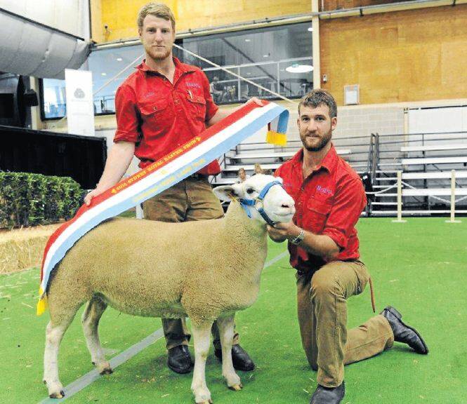 SHOW STANDOUT: Lochie and Brayden Gilmore with the Royal Easter Show Supreme Champion Prime Lamb Dam ‘Princess Kate’.