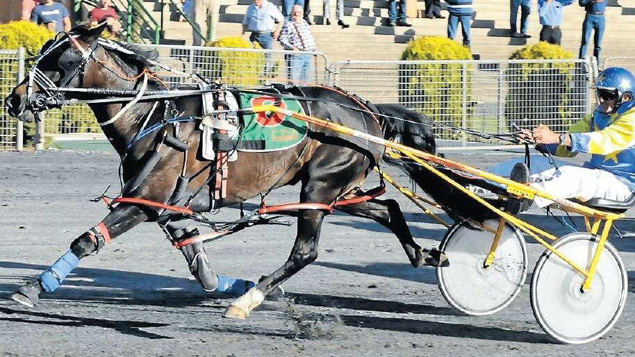 ON TRACK: On China Beach, driven by Wayne Watterson, notches up one of her five career wins at the Bathurst Paceway. Photo: CHRIS SEABROOK 111313ctrots1