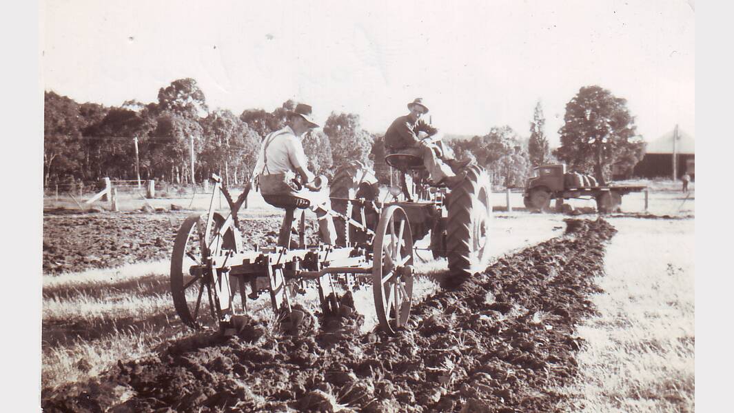 Malcolm Watson ploughing his paddock ready to sew potatoes.