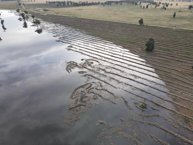 An aerial of the flooding that occurred between Cowra and Forbes that damaged crops in November. Photo: NSW DPI