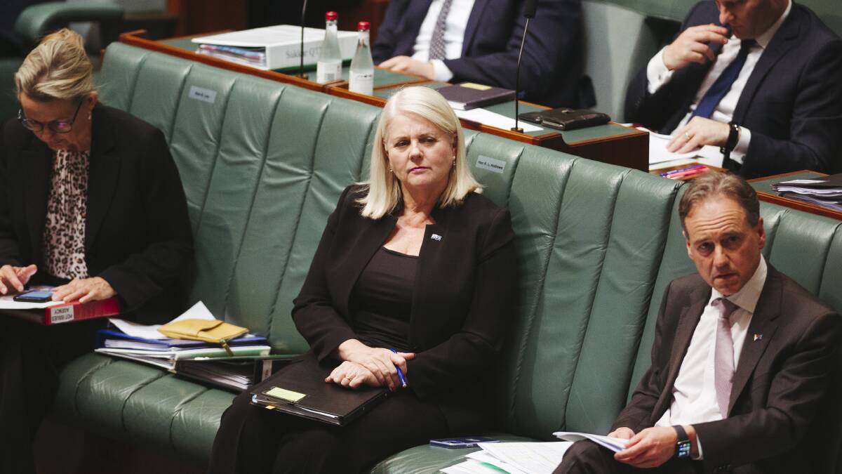 Home Affairs Minister Karen Andrews. Picture: Dion Georgopoulos