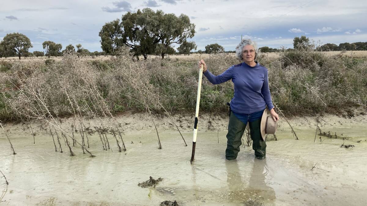 Irrigator Sally Jones, in a foot of the slurry that her sediment traps had caught from less than 200ML of water. Photo by Cai Holroyd Irrigator Sally Jones, in a foot of the slurry that her sediment traps had caught from less than 200ML of water. Photo by Cai Holroyd