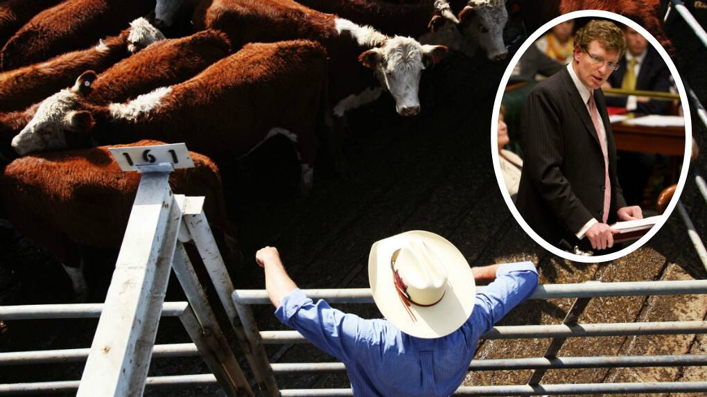 Andrew Gee says the federal government needs to 'get cracking' before the 'very real risk' of the cattle disease reaches Central West produce. Picture: File