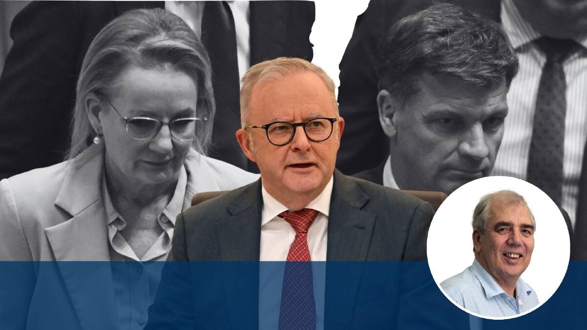 The Coalition's recent antics have given Anthony Albanese a rare boon. Pictures AAP