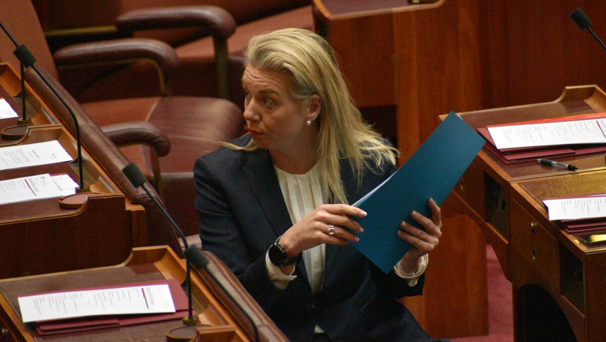 REVIEW: Nationals leader in the Senate Bridget McKenzie slammed the response to the Indonesian outbreak. Photo: Jamieson Murphy