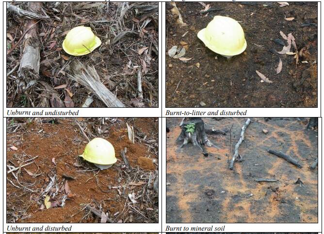 The types of ash-soil desired by STT depending on the area. Image: Forestry Tasmania, Technical Bullet No. 5