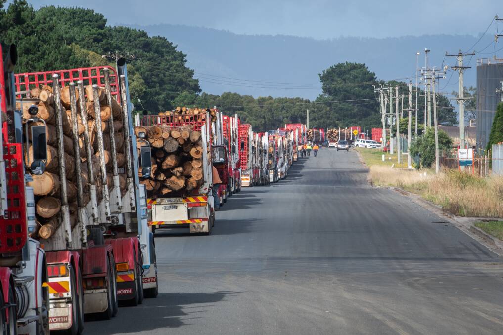 Logging trucks line up at Artec in Bell Bay during a Bob Brown Foundation protest earlier this year. Split logs are often from native coupes. Picture: Paul Scambler