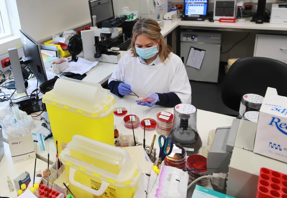 TESTING: Hospital microbiology scientist Maria Cabauatan at work in the Wagga Base pathology lab. Picture: Les Smith