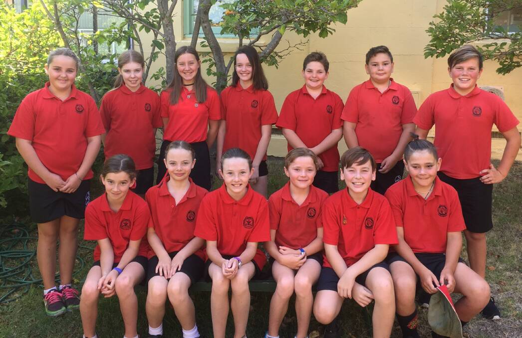 MAKING A SPLASH: Oberon Public School's swimming champions. The school held its swimming carnival recently.