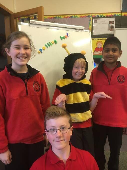 BEE-AUTIFUL SPELLING: Four spellers from Oberon Public School attended the Regional Spelling Bee.