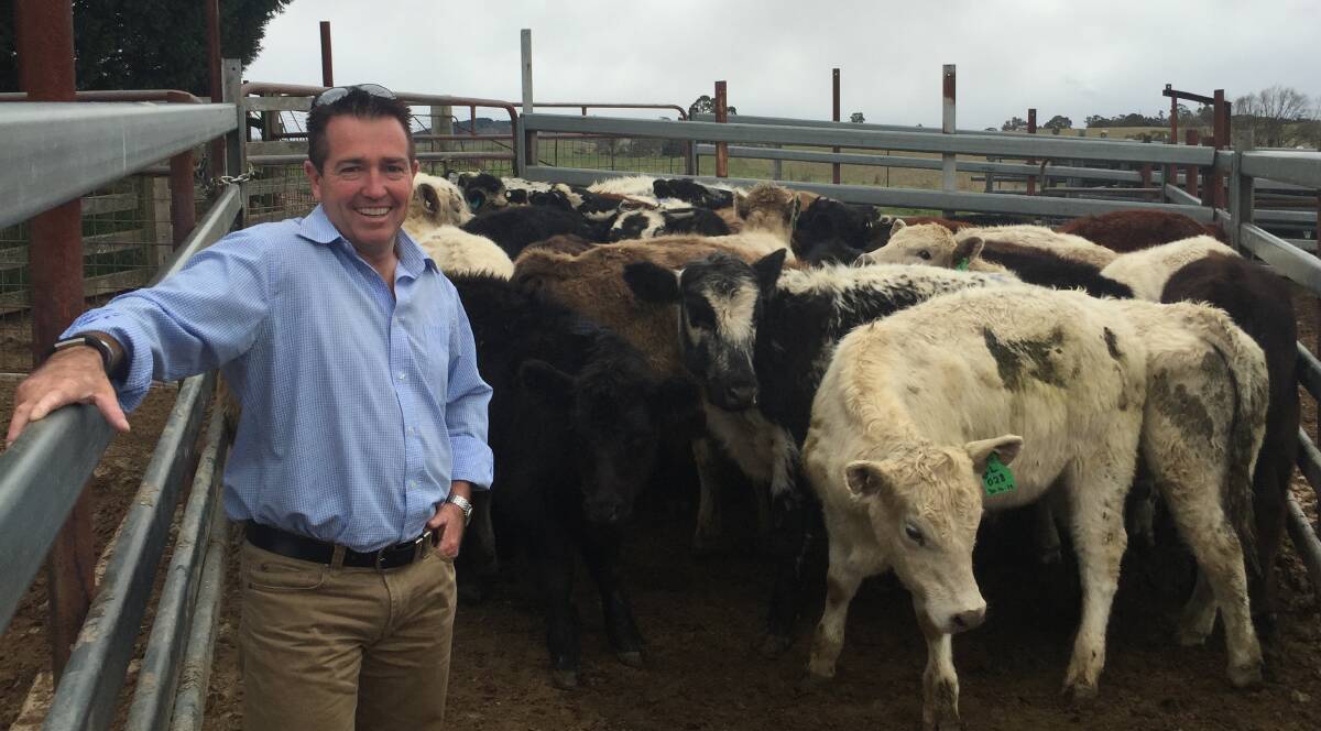 TOUGH WORK: Member for Bathurst Paul Toole says the NSW Government is aware of how the drought is hurting farmers.