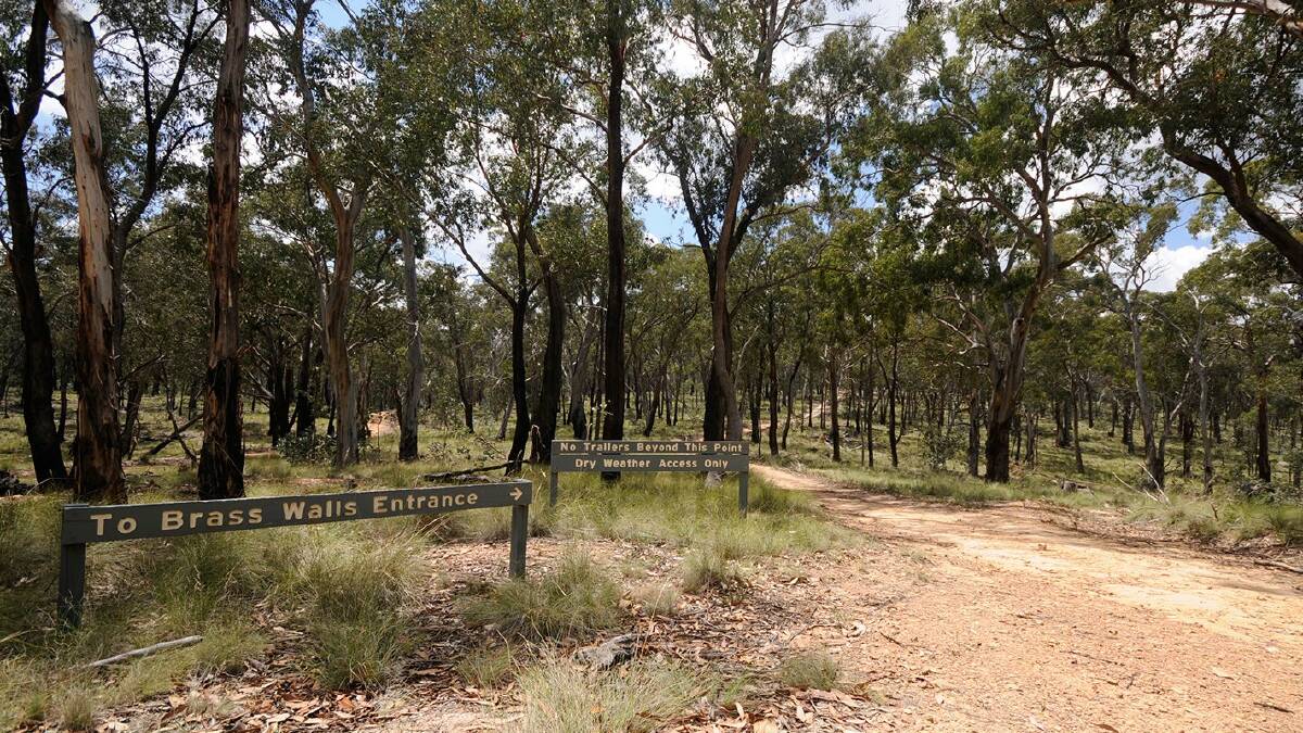 Police say group found safe and well in national park near Oberon