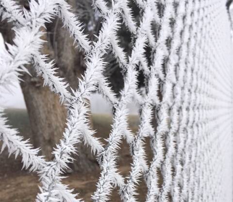 FROST TIME: There are still jobs to do in gardens in winter. Photo: RITA FRY
