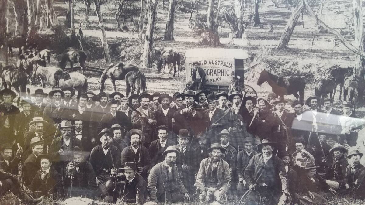 LOOK THIS WAY: All involved in a roo and wallaby drive at Wiseman's Creek in the late 1870s. These gentlemen were some of our Tablelands pioneers. Thanks to Mark Ryan at Georges Plains for sending these photos.