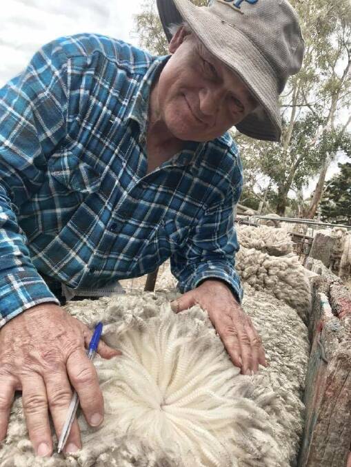 SHOWING OFF: A South Australian stud master with a 170mm staple on a show poll ram. He'll be shorn each six months.