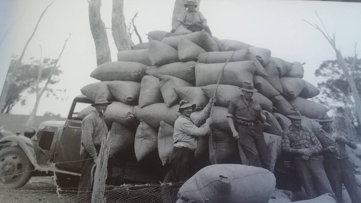 SHOULDER THE LOAD: In the days before forklifts, 80-kilogram bags of wheat made wheat lumping a tough job.