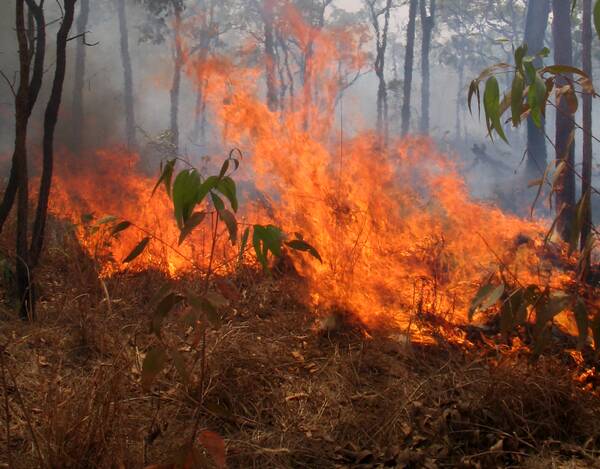 Fire permits not needed, but RFS warns that danger remains