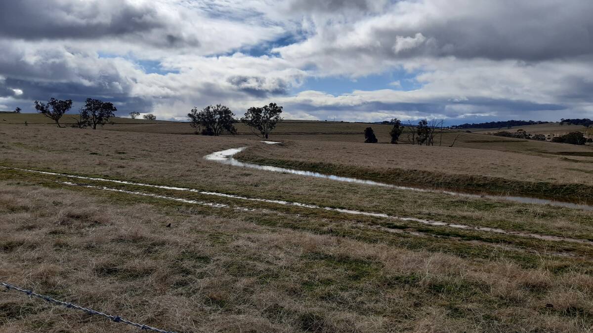 BANK ON IT: Lots of fresh water in contour banks at Craig and Jen Hotham's property near Rockley Mount.