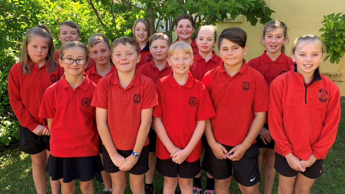 WELL DONE: The Oberon Public swimming carnival champions. The carnival featured excellent sportsmanship and house spirit.