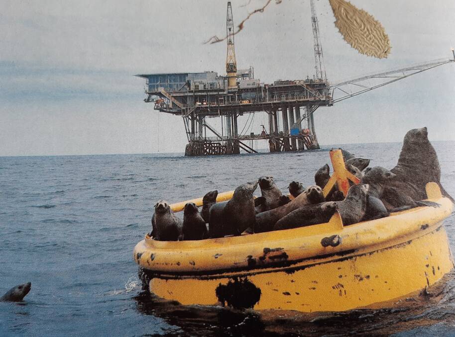 CROWDED HOUSE: An artificial island, a buoy near an oil rig, attracts a colony of seals.
