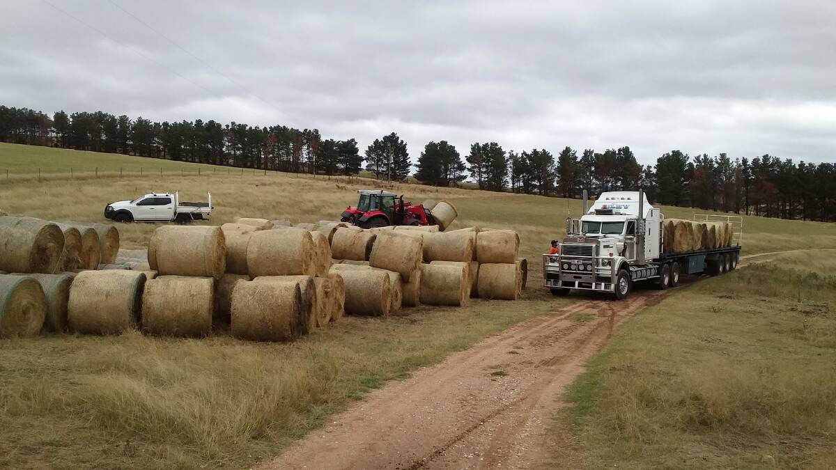 ON THE ROAD AGAIN: Donated hay being loaded to assist farmers with hungry livestock.