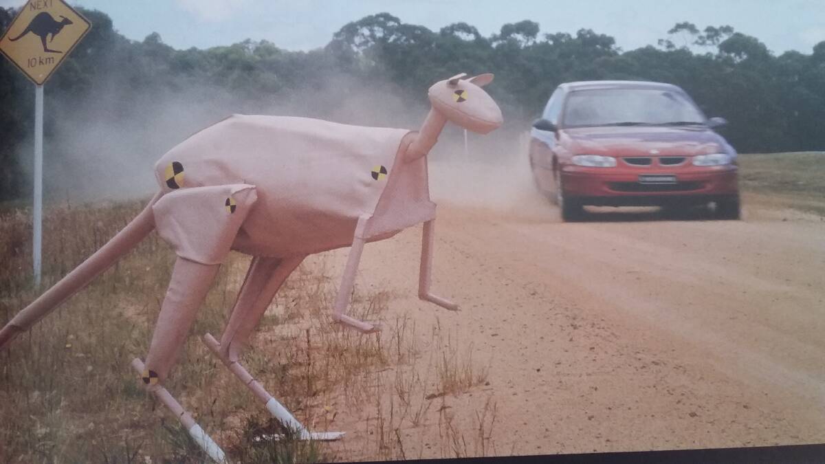 WATCHING OVER: This man-made kangaroo graced the test track for new Holdens at You Yang in the Dandenongs.