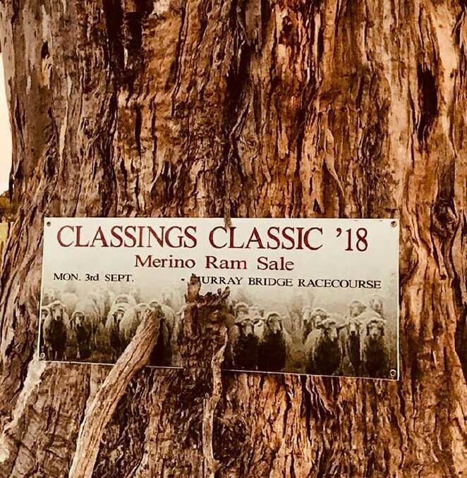 SIGN OF THE TIMES: This sign on a tree in the South Australian Mallee tells of an auction of top-notch, elite woolled hogget rams, some of their state’s best young rams.