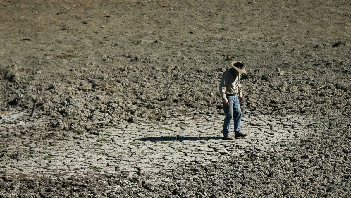 Upcoming forums aim to help farmers during the drought