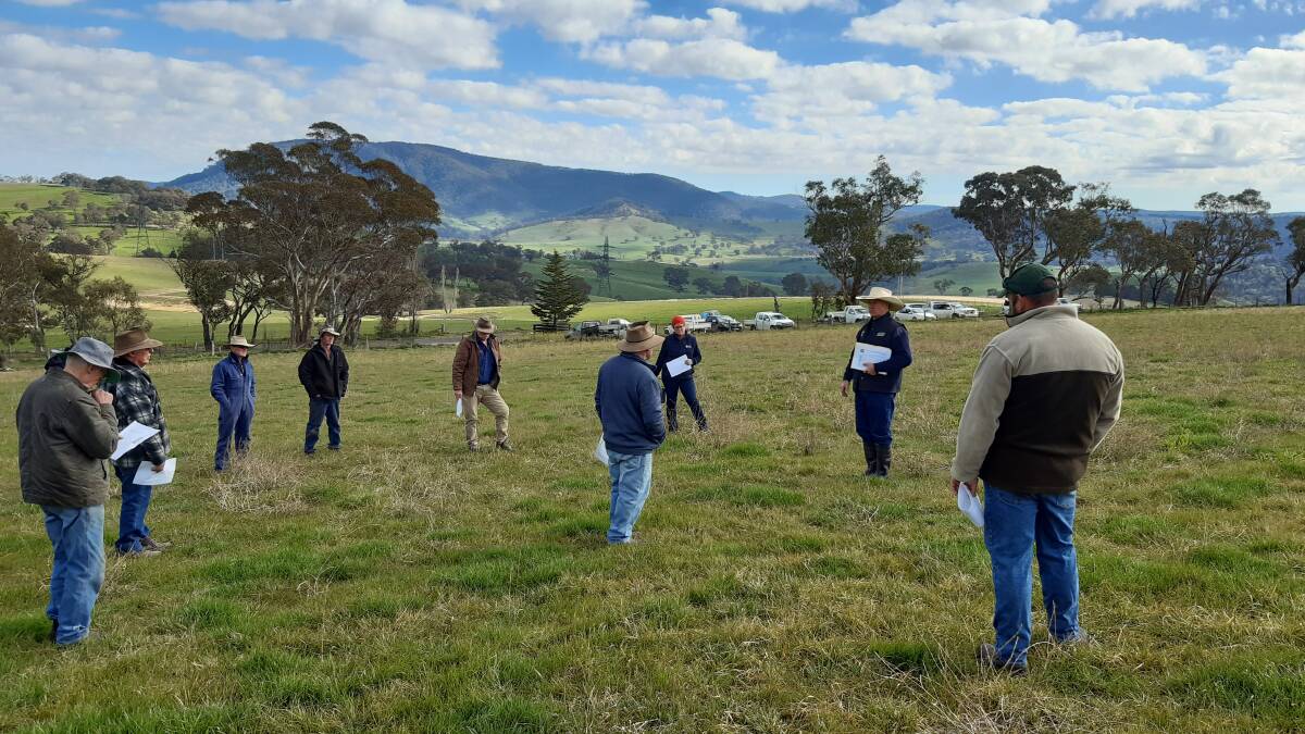 WALK AND TALK: Part of the group of district producers who enjoyed the pasture walk at Tarana last week.