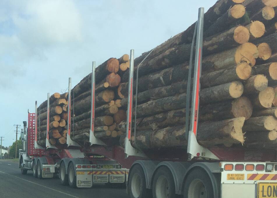 Council seeks road routes to determine timber haulage toll