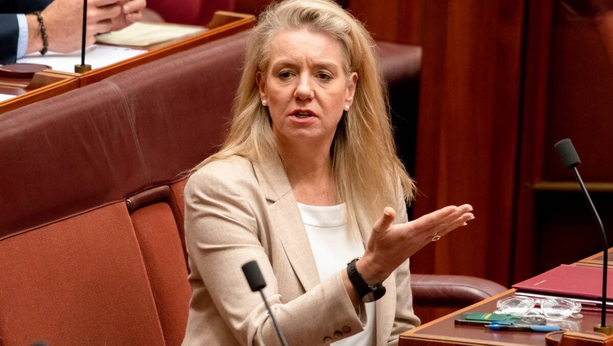 Coalition senator Bridget McKenzie has finally found her voice when it comes to Qantas. Picture by Elesa Kurtz