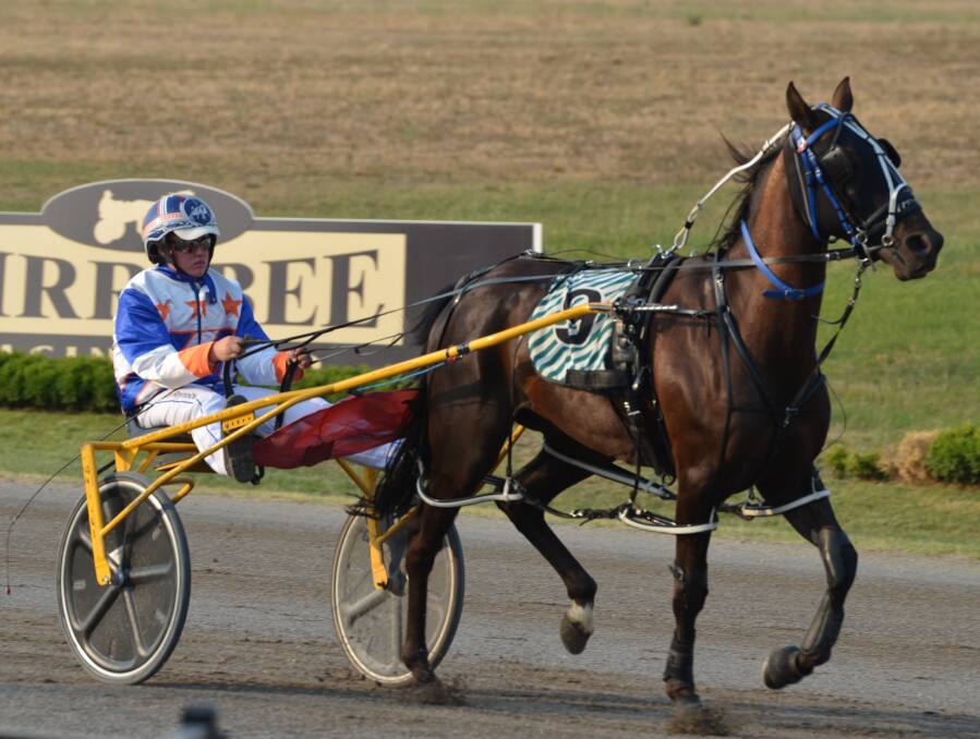 TALENT: Amongst the horses Justin Reynolds has driven to victory over the past four years is Sputnik. The pair have had nine wins together. Photo: ANYA WHITELAW
