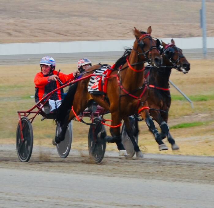 SNEAK A LOOK: Steve Turnbull takes a quick glance at his rivals as he guides Dunno Jo down the home straight at the Bathurst Paceway on Monday evening. Photo: ANYA WHITELAW
