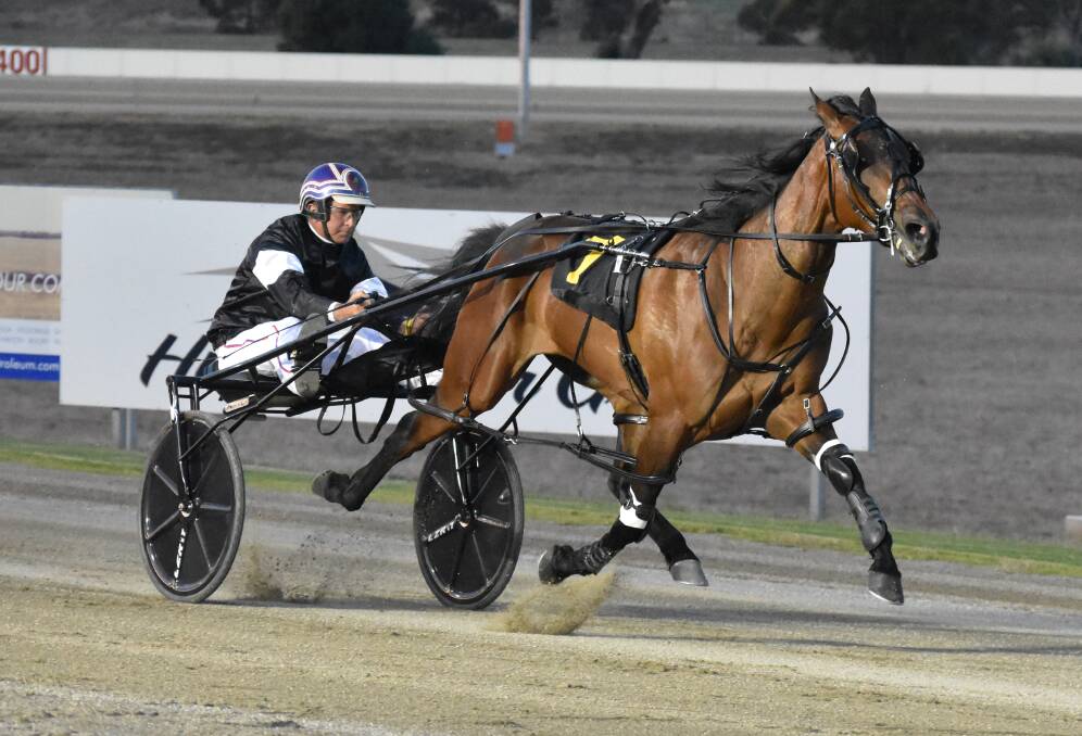 TOO GOOD: Jason Turnbull drove Jerulas Grin to a commanding win in his NSW Breeders Challenge Western Region Final. Photo: DAILY ADVERTISER