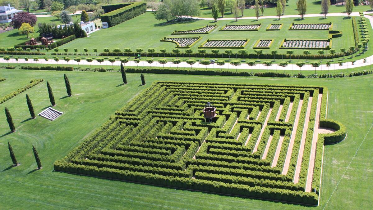 Mayfield Spring Festival: Can you find your way through the box hedge maze?