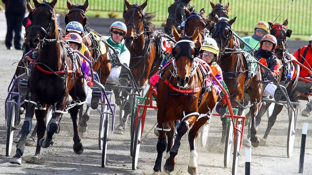 Harness racing: See all the action on the track.