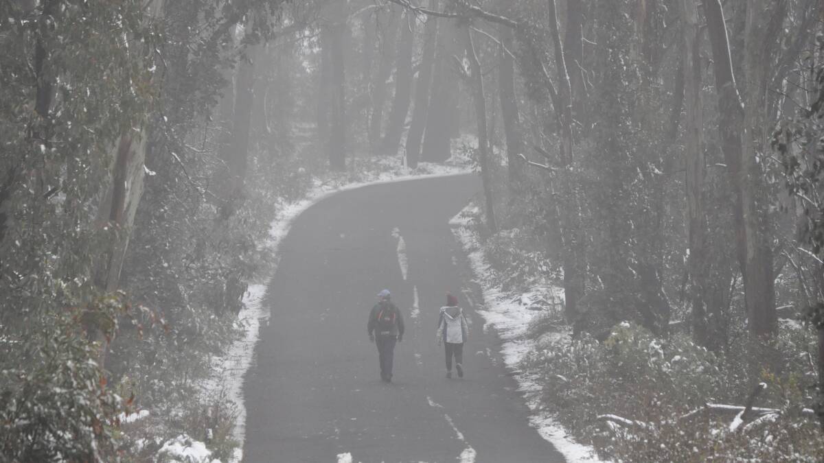 Walkers enjoy the snowfall on Mount Canobolas in previous years. Picture by Nick McGrath