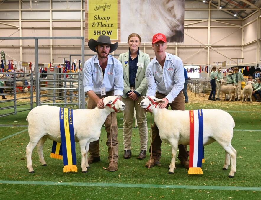 Tattykeel's Jack Healey with the reserve champion ewe, judge Jo Balcombe, Young, and Tattykeel's James Gimore with the grand champion ewe. Picture by Denis Howard 